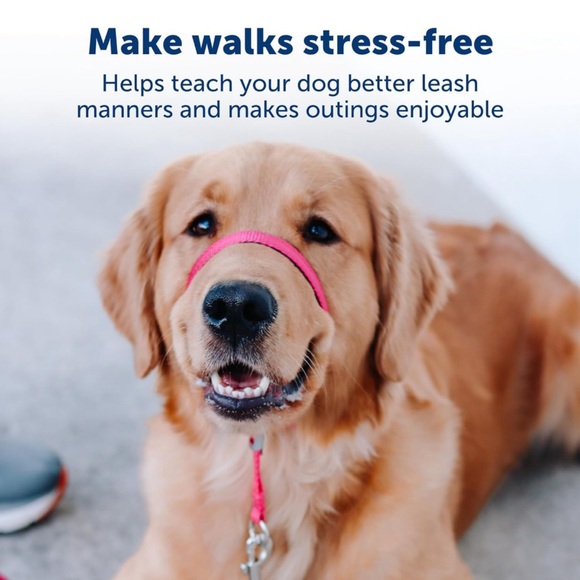 NIB PetSafe Gentle Leader No-Pull Dog Headcollar - Medium - Picture 6 of 8